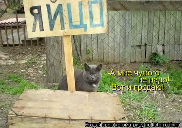 -А мне чужого не надо! Вот и продаю!... Котоматрица: -А мне чужого не надо! Вот и продаю!
