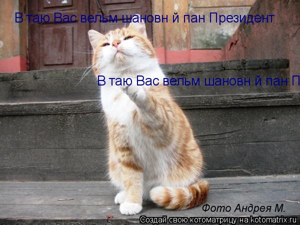 Вітаю Вас вельмішановній пан Президент Вітаю Вас вельмішановній пан Президент... Котоматрица: Вітаю Вас вельмішановній пан Президент Вітаю Вас вельмішановній пан Президент