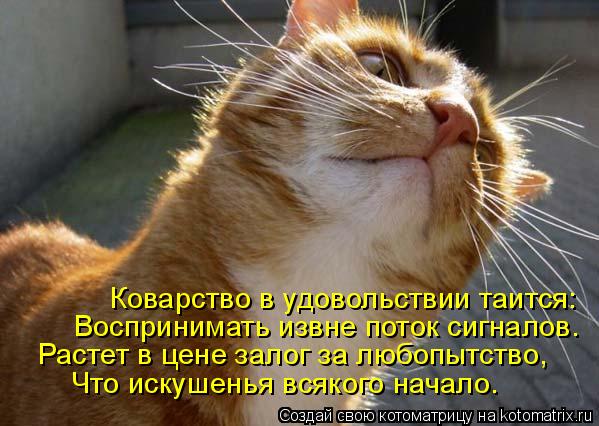 Коварство в удовольствии таится: Воспринимать извне поток сигналов. Растет в цене залог за любопытств... Котоматрица: Коварство в удовольствии таится: Воспринимать извне поток сигналов. Растет в цене залог за любопытство, Что искушенья всякого начало.