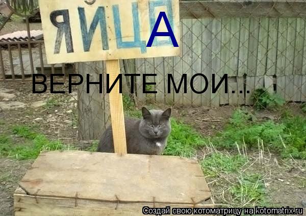 А ВЕРНИТЕ МОИ...... Котоматрица: А ВЕРНИТЕ МОИ...