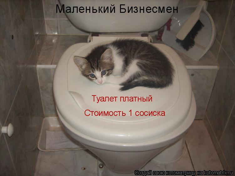 Туалет платный Стоимость 1 сосиска Маленький Бизнесмен... Котоматрица: Туалет платный Стоимость 1 сосиска Маленький Бизнесмен