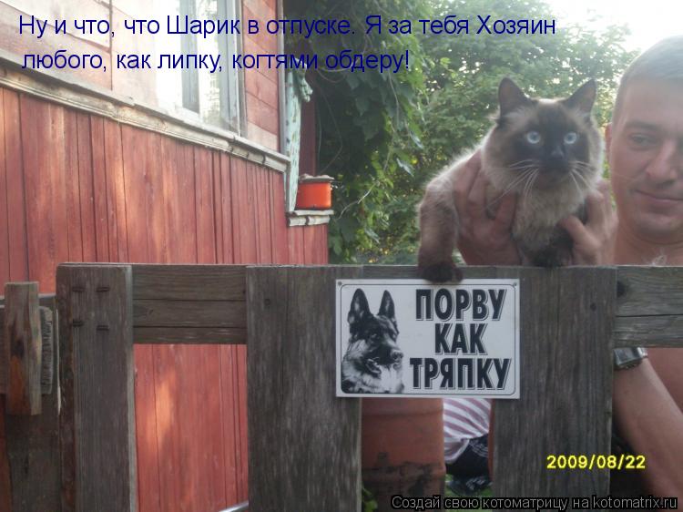 Ну и что, что Шарик в отпуске. Я за тебя Хозяин любого, как липку, когтями обдеру!... Котоматрица: Ну и что, что Шарик в отпуске. Я за тебя Хозяин любого, как липку, когтями обдеру!