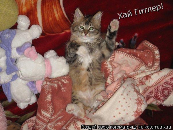 Хай Гитлер!... Котоматрица: Хай Гитлер!