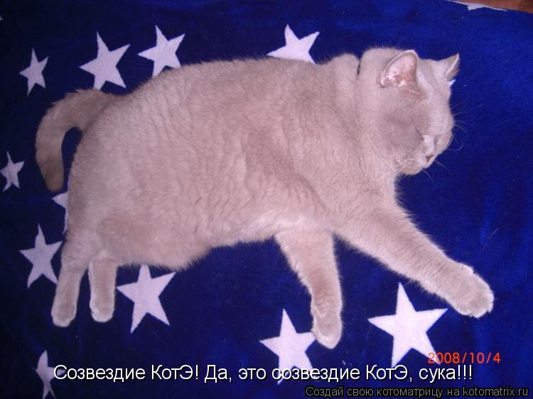 Созвездие КотЭ! Да, это созвездие КотЭ, сука!!!... Котоматрица: Созвездие КотЭ! Да, это созвездие КотЭ, сука!!!