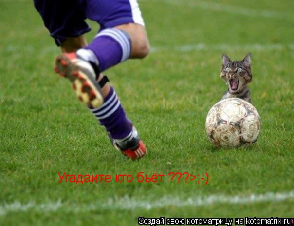 Угадаите кто бьёт ???>;-)... Котоматрица: Угадаите кто бьёт ???>;-)