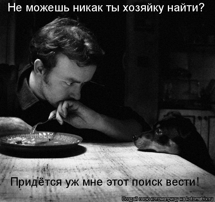 Не можешь никак ты хозяйку найти? Придётся уж мне этот поиск вести!... Котоматрица: Не можешь никак ты хозяйку найти? Придётся уж мне этот поиск вести!