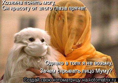 Хозяина понять могу, Он красоту от злого глаза прячет. Однако в толк я не возьму, Зачем скрывать лицо... Котоматрица: Хозяина понять могу, Он красоту от злого глаза прячет. Однако в толк я не возьму, Зачем скрывать лицо Муму?