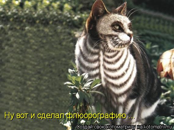 Ну вот и сделал флюорографию ...... Котоматрица: Ну вот и сделал флюорографию ...
