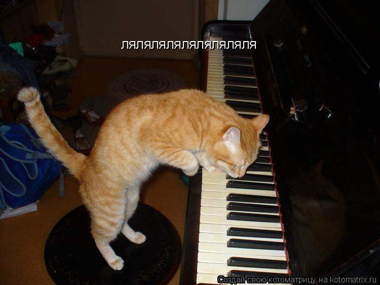 ляляляляляляляляля... Котоматрица: ляляляляляляляляля