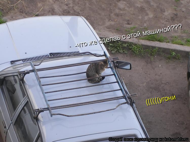 -что же сделаь с этой машиной??? ((((((угони... Котоматрица: -что же сделаь с этой машиной??? ((((((угони