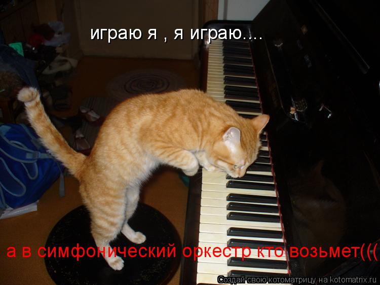 играю я , я играю.... играю я , я играю.... а в симфонический оркестр кто возьмет(((... Котоматрица: играю я , я играю.... играю я , я играю.... а в симфонический оркестр кто возьмет(((