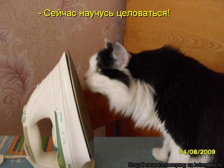 - Сейчас научусь целоваться!... Котоматрица: - Сейчас научусь целоваться!