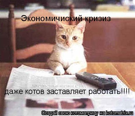 Экономичиский кризиз даже котов заставляет работать!!!!... Котоматрица: Экономичиский кризиз даже котов заставляет работать!!!!
