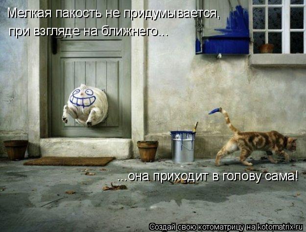 Мелкая пакость не придумывается, при взгляде на ближнего... ...она приходит в голову сама!... Котоматрица: Мелкая пакость не придумывается, при взгляде на ближнего... ...она приходит в голову сама!