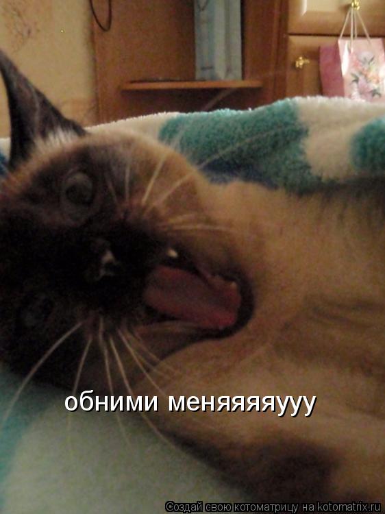обними меняяяяууу... Котоматрица: обними меняяяяууу