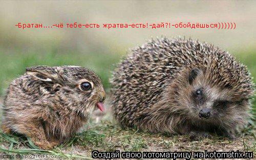 -Братан....-чё тебе-есть жратва-есть!-дай?!-обойдёшься))))))... Котоматрица: -Братан....-чё тебе-есть жратва-есть!-дай?!-обойдёшься))))))