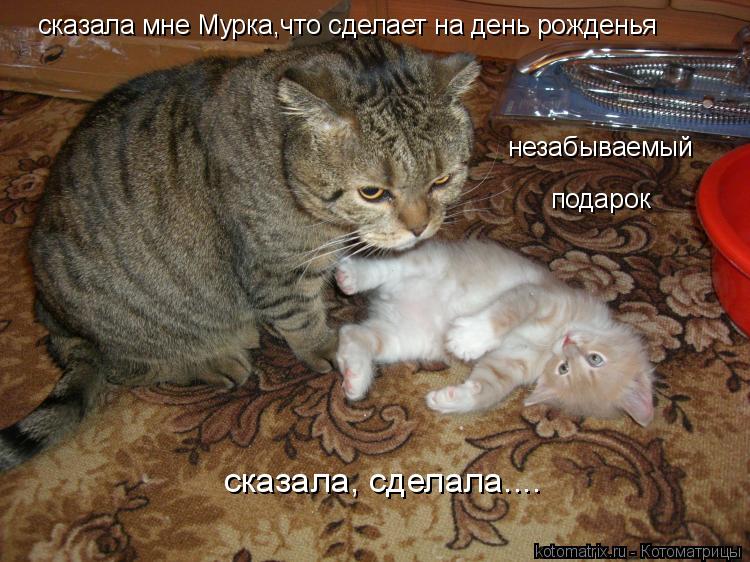 сказала мне Мурка,что сделает на день рожденья незабываемый подарок сказала, сделала....... Котоматрица: сказала мне Мурка,что сделает на день рожденья незабываемый подарок сказала, сделала....