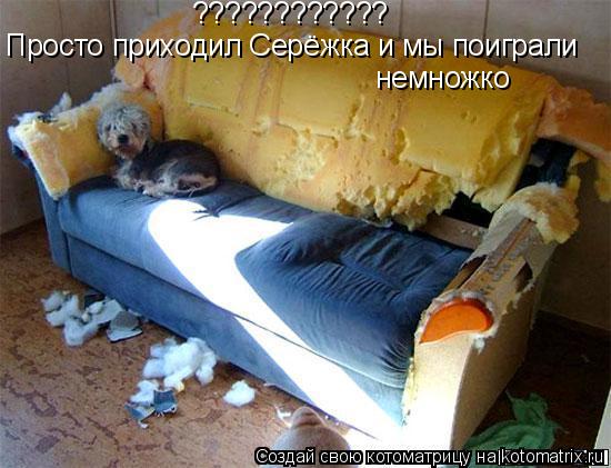 Просто приходил Серёжка и мы поиграли немножко ????????????... Котоматрица: Просто приходил Серёжка и мы поиграли немножко ????????????
