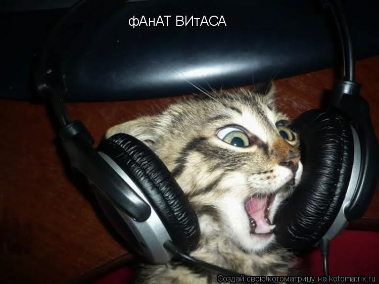 фАнАТ ВИтАСА... Котоматрица: фАнАТ ВИтАСА