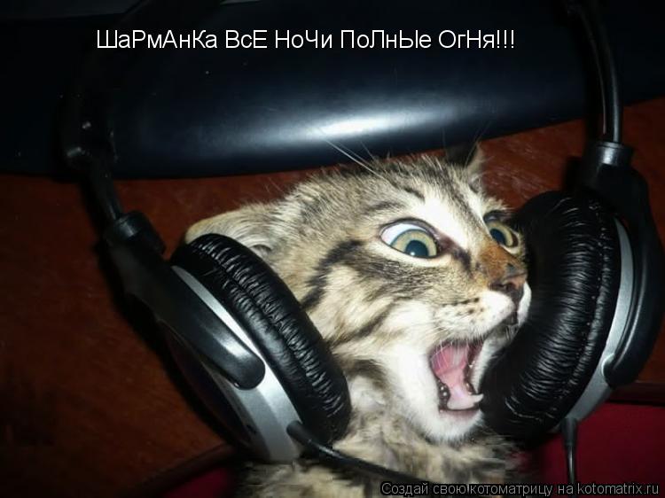 ШаРмАнКа ВсЕ НоЧи ПоЛнЫе ОгНя!!!... Котоматрица: ШаРмАнКа ВсЕ НоЧи ПоЛнЫе ОгНя!!!