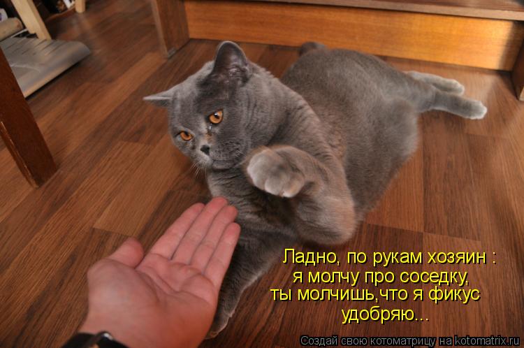Ладно, по рукам хозяин : я молчу про соседку, ты молчишь,что я фикус удобряю...... Котоматрица: Ладно, по рукам хозяин : я молчу про соседку, ты молчишь,что я фикус удобряю...