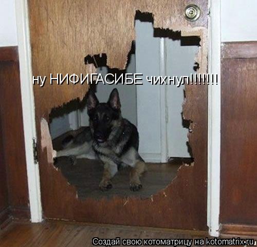 ну НИФИГАСИБЕ чихнул!!!!!!!... Котоматрица: ну НИФИГАСИБЕ чихнул!!!!!!!