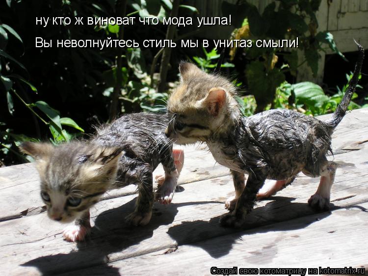 ну кто ж виноват что мода ушла! Вы неволнуйтесь стиль мы в унитаз смыли!... Котоматрица: ну кто ж виноват что мода ушла! Вы неволнуйтесь стиль мы в унитаз смыли!