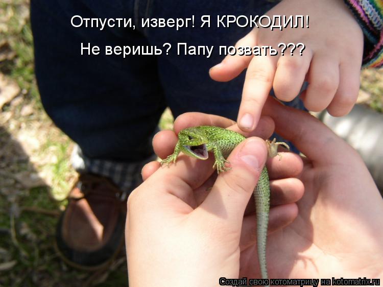 Отпусти, изверг! Я КРОКОДИЛ! Не веришь? Папу позвать???... Котоматрица: Отпусти, изверг! Я КРОКОДИЛ! Не веришь? Папу позвать???