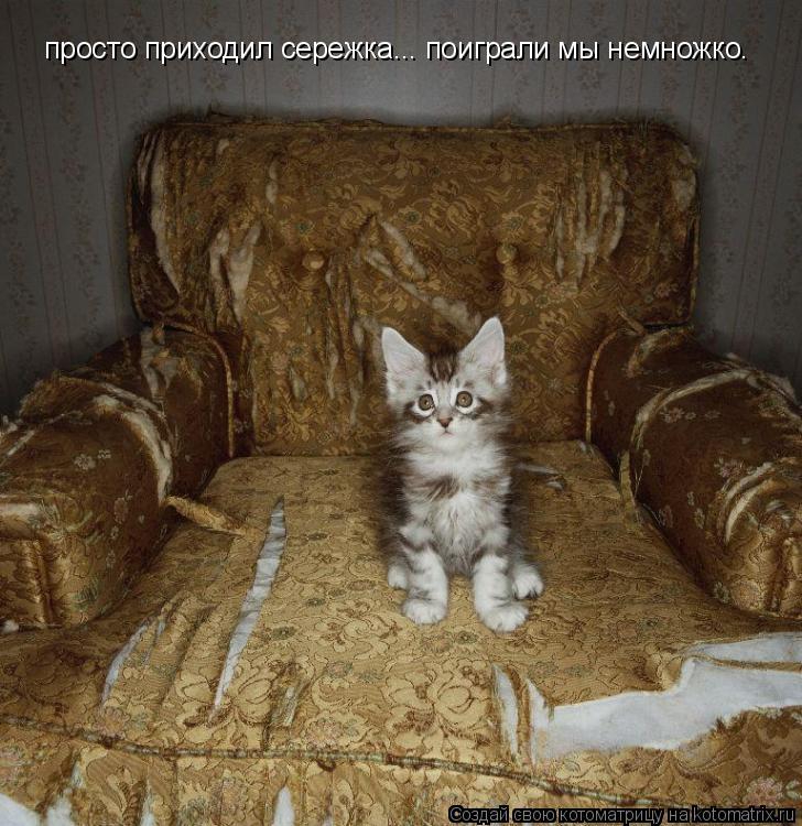 просто приходил сережка... поиграли мы немножко.... Котоматрица: просто приходил сережка... поиграли мы немножко.