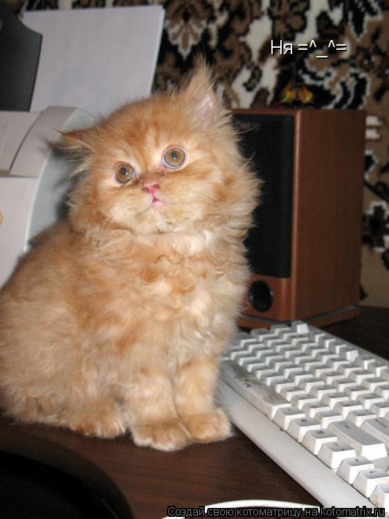 Ня =^_^=... Котоматрица: Ня =^_^=