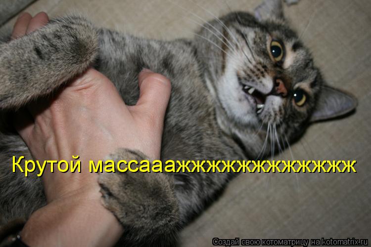 Крутой массааажжжжжжжжжжжж... Котоматрица: Крутой массааажжжжжжжжжжжж