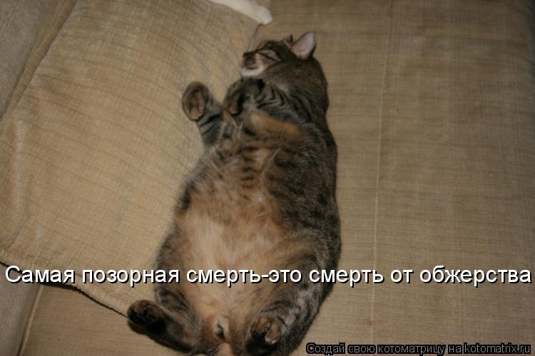 Самая позорная смерть-это смерть от обжерства... Котоматрица: Самая позорная смерть-это смерть от обжерства