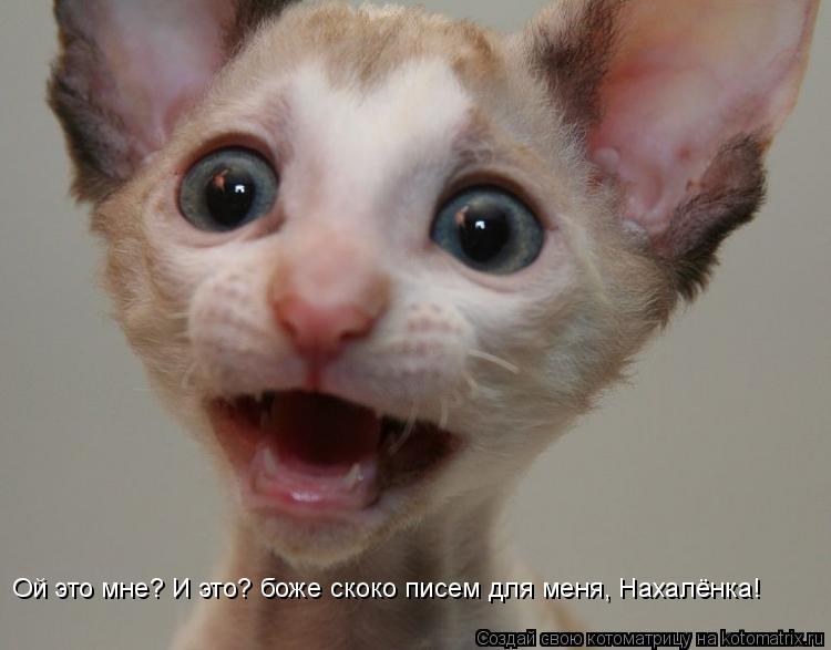 Ой это мне? И это? боже скоко писем для меня, Нахалёнка!... Котоматрица: Ой это мне? И это? боже скоко писем для меня, Нахалёнка!