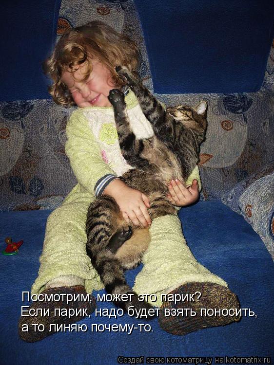 Посмотрим, может это парик? Если парик, надо будет взять поносить, а то линяю почему-то.... Котоматрица: Посмотрим, может это парик? Если парик, надо будет взять поносить, а то линяю почему-то.