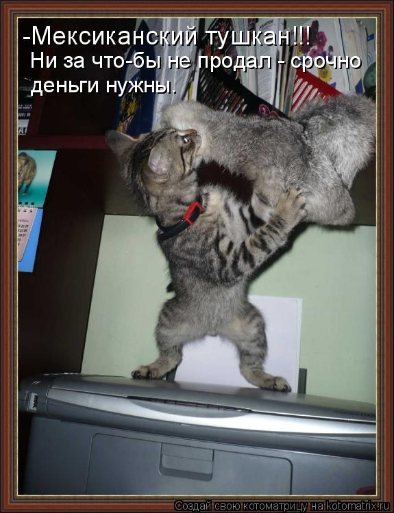 -Мексиканский тушкан!!! Ни за что-бы не продал - срочно деньги нужны.... Котоматрица: -Мексиканский тушкан!!! Ни за что-бы не продал - срочно деньги нужны.