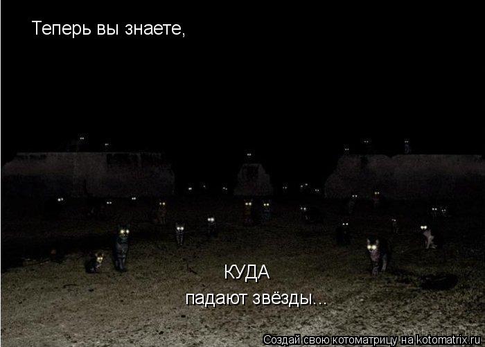 Теперь вы знаете, падают звёзды... КУДА... Котоматрица: Теперь вы знаете, падают звёзды... КУДА