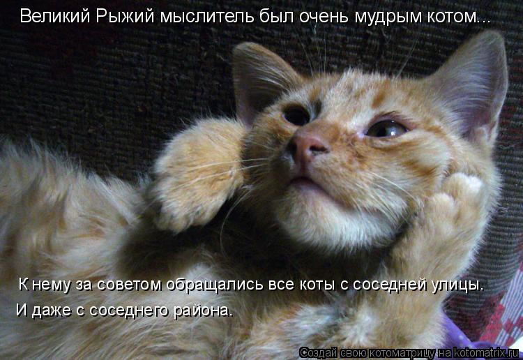 Великий Рыжий мыслитель был очень мудрым котом... К нему за советом обращались все коты с соседней ул... Котоматрица: Великий Рыжий мыслитель был очень мудрым котом... К нему за советом обращались все коты с соседней улицы. И даже с соседнего района.