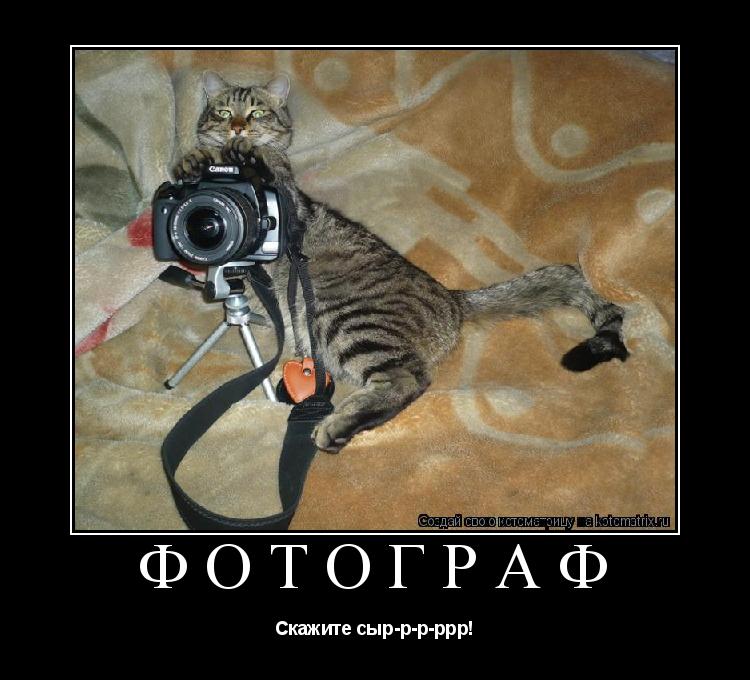 Фотограф Скажите сыр-р-р-ррр!... Котоматрица: Фотограф Скажите сыр-р-р-ррр!