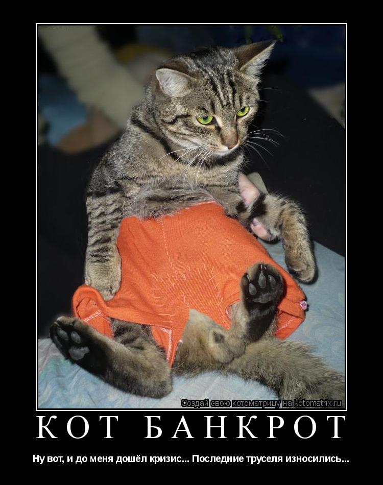 Кот банкрот Ну вот, и до меня дошёл кризис... Последние труселя износились...... Котоматрица: Кот банкрот Ну вот, и до меня дошёл кризис... Последние труселя износились...