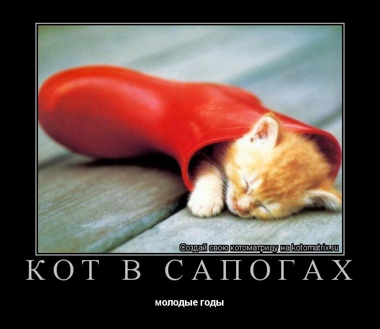 кот в сапогах молодые годы... Котоматрица: кот в сапогах молодые годы