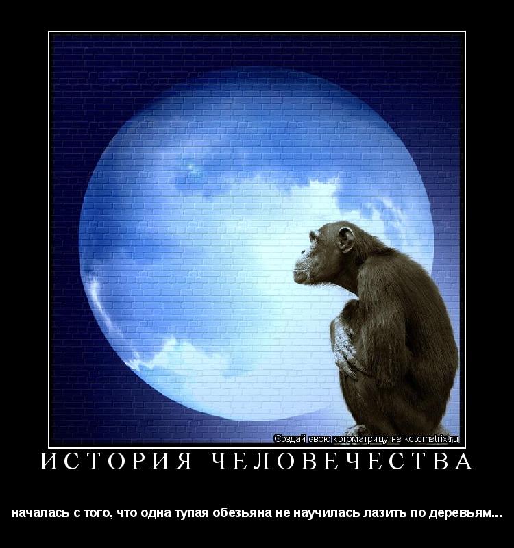 История человечества началась с того, что одна тупая обезьяна не научилась лазить по деревьям...... Котоматрица: История человечества началась с того, что одна тупая обезьяна не научилась лазить по деревьям...