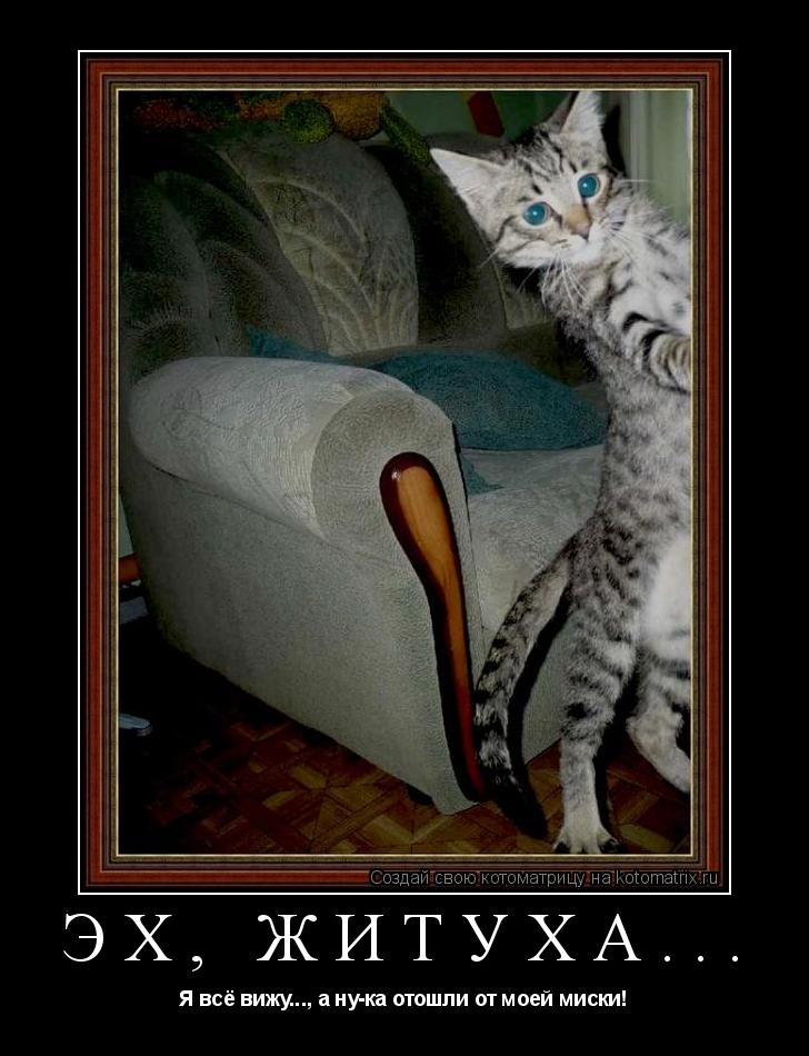 Эх, житуха... Я всё вижу..., а ну-ка отошли от моей миски!... Котоматрица: Эх, житуха... Я всё вижу..., а ну-ка отошли от моей миски!