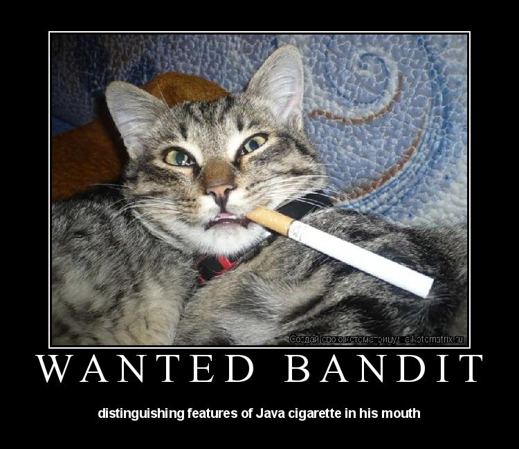 wanted bandit distinguishing features of Java cigarette in his mouth... Котоматрица: wanted bandit distinguishing features of Java cigarette in his mouth