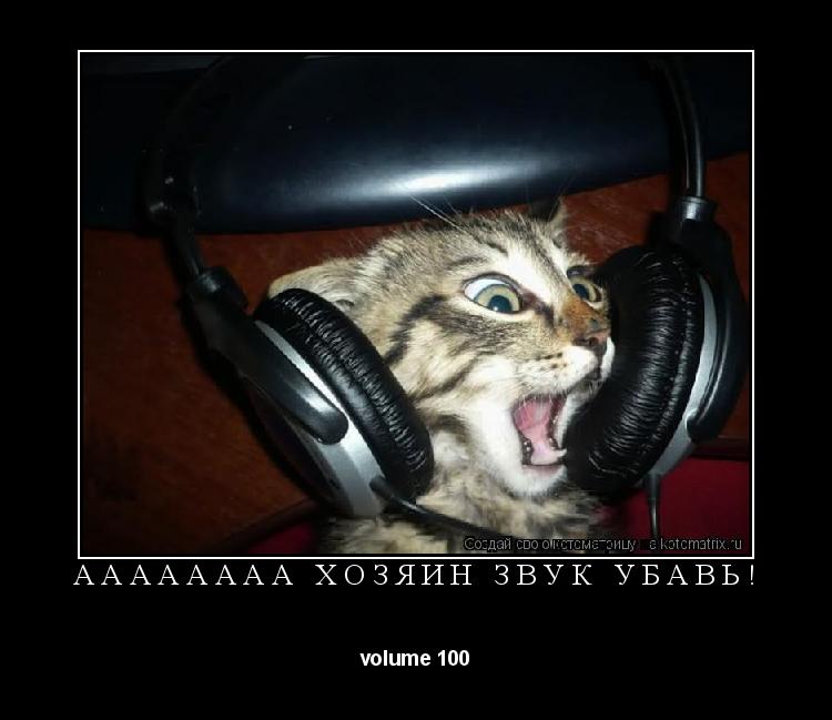 аааааааа хозяин звук убавь! volume 100... Котоматрица: аааааааа хозяин звук убавь! volume 100