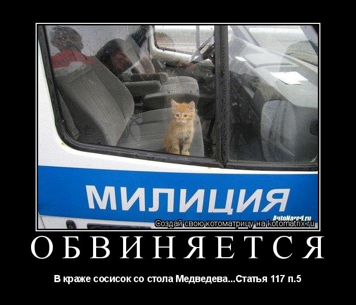 Обвиняется В краже сосисок со стола Медведева...Статья 117 п.5... Котоматрица: Обвиняется В краже сосисок со стола Медведева...Статья 117 п.5