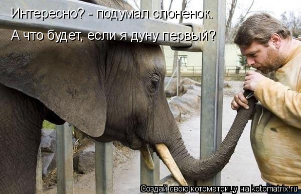 Интересно? - подумал слоненок. А что будет, если я дуну первый?... Котоматрица: Интересно? - подумал слоненок. А что будет, если я дуну первый?