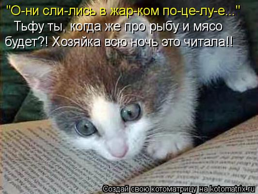 Котоматрица: "О-ни сли-лись в жар-ком по-це-лу-е..." Тьфу ты, когда же про рыбу и мясо  будет?! Хозяйка всю ночь это читала!!