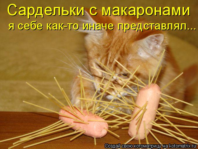 Котоматрица: Сардельки с макаронами я себе как-то иначе представлял...