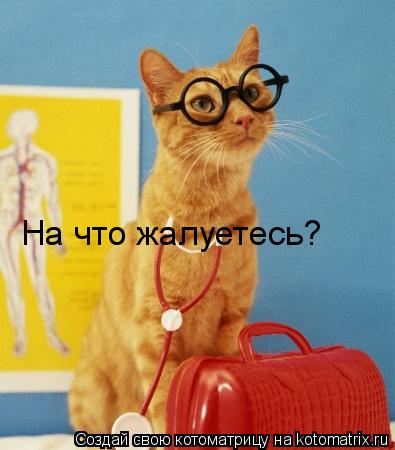 На что жалуетесь?... Котоматрица: На что жалуетесь?