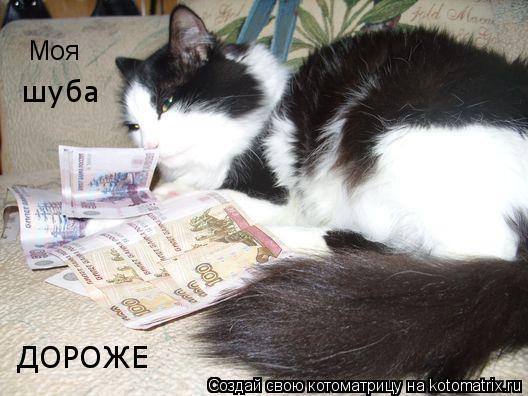 Моя шуба ДОРОЖЕ... Котоматрица: Моя шуба ДОРОЖЕ